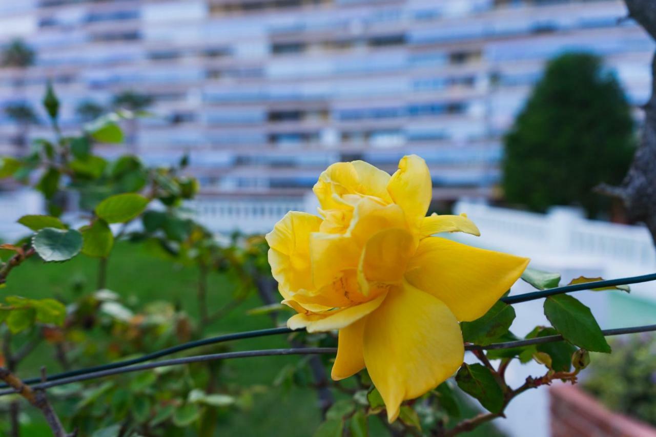 Beach & Urban Playa San Juan Apartment Alicante Ngoại thất bức ảnh